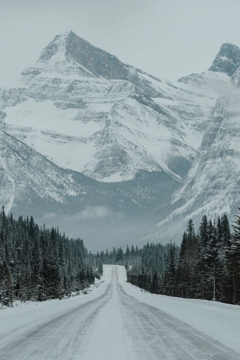 Canada Photography, Winter Szenen, Jasper National Park, Winter Scenery, Alberta Canada, Winter Landscape, In The Mountains, Winter Scenes, Beautiful World