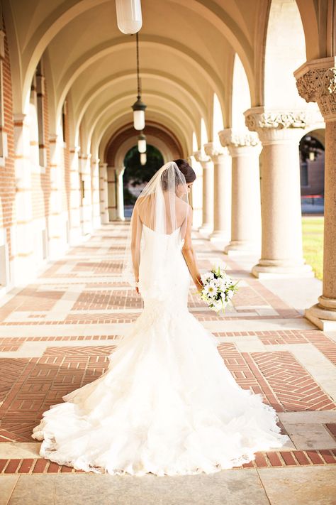 Favorite part about this Maggie Sottero wedding dress- long, ruffle lace train  Bridal Portraits taken at Rice University Engagement Photos Houston, Rice University, Maggie Sottero Wedding Dresses, Bridal Poses, Bridal Photoshoot, Grad Pics, Picture Day, Maggie Sottero, Long Train