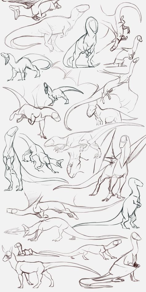 Animal Poses Reference Drawing, Animal Base Sketch, Dragon Running Reference, Flipping Someone Off Reference, Dragon Leg Drawing, Dragon Comic Art, How To Draw Talons, Dragon Concept Art Design Reference, Wyvern Art Reference