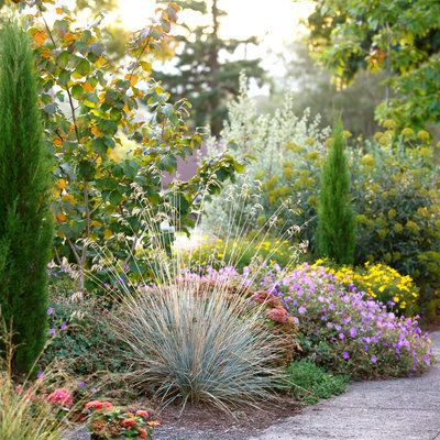 Turn your hellstrip into a specially designed “welcome home” garden. Sidewalk Landscaping, Garden Escape, Garden Sprinklers, Driveway Design, Driveway Landscaping, Video Garden, Garden Ideas Cheap, Sunset Magazine, Giada De Laurentiis