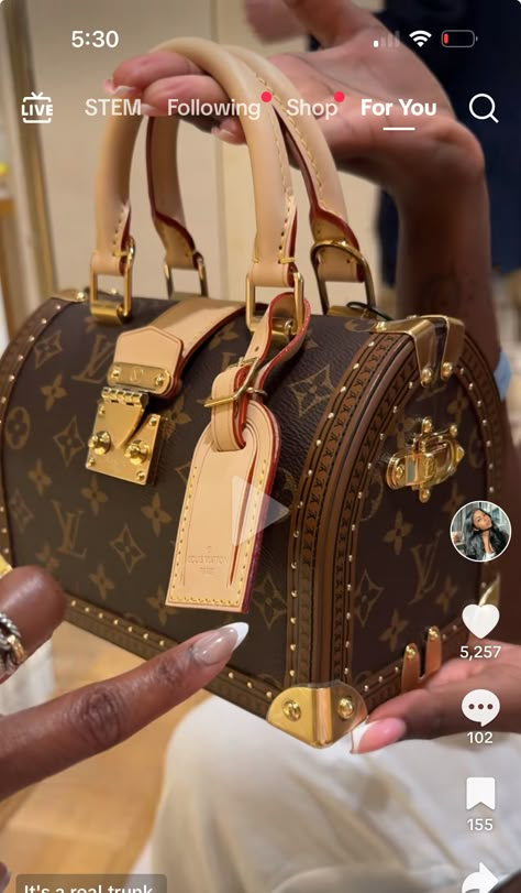 High Fashion Handbags, Girly Essentials, Louis Vuitton Bag Outfit, Designer Things, Baddie Filters, Louis Vuitton Style, My Style Bags, Luxury Bags Collection, 26th Birthday