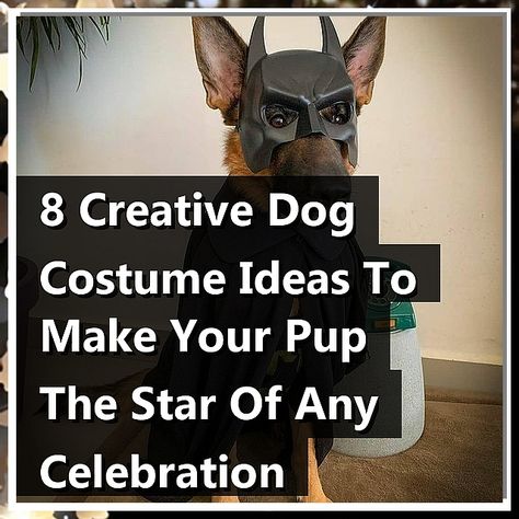 Unleash your pup's personality with these 8 creative dog costume ideas that will make them the star of any celebration! From whimsical outfits to themed ensembles, discover unique ways to dress up your furry friend for Halloween, parties, or just for fun. These dog costumes are not only adorable but also comfortable, ensuring your dog enjoys every moment in style. Get inspired and turn heads with these fabulous looks that showcase your dog's charm! Dog Costume Ideas, Dog Costumes For Black Dogs, Dog Halloween Costumes For Black Dogs, Dog Halloween Costumes German Shepherd, Costumes For Black Dogs, Diy Dog Halloween Costumes Golden Retriever, Halloween Dog Costume Golden Retriever, Funny Pet Costumes, Best Dog Costumes