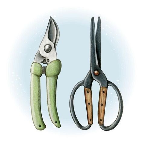 Gardening Tools Illustration, Shears Tattoo, Scissors Drawing, Vintage Hairdresser, Cut Flower Farm, Retro Logo Design, Garden Scissors, Poster Fonts, Ancient Forest