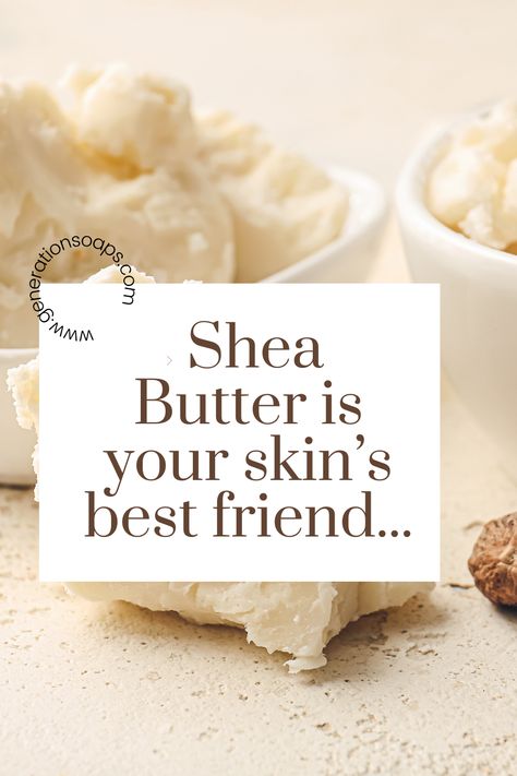 Shea butter is an incredible moisturizer for dry skin. Thanks to its nourishing, antioxidant and anti-inflammatory properties, shea butter can help repair and protect your skin while strengthening the skin's moisture barrier. Use natural soaps and wellness products made with shea butter – your skin will love it!!! #healthyskin #naturalskincare #herbalskincare #naturalingredients #essentialoils #botanicalskincare #healthyskincare #allnaturalskincare #sheabutter #exfoliate #skincareoils Diy Body Butter Recipes, Homemade Body Butter, Diy Body Butter, Herbal Skin Care, Body Butters Recipe, Beautiful Skin Care, Essential Oils Guide, Raw Shea Butter, Butter Recipes