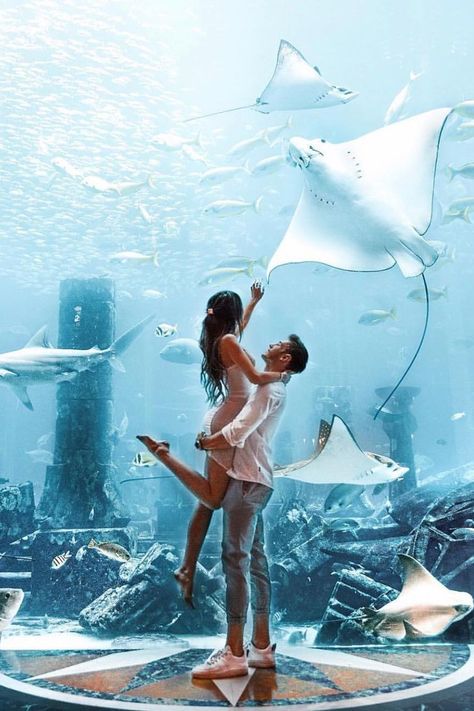 Dubai Couple, Dubai Photoshoot, Dubai Aquarium, Dubai Travel Guide, Miracle Garden, Dubai Holidays, Dubai Vacation, Dubai Aesthetic, Visit Dubai