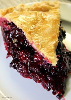 Jo and Sue: Blackberry Pie Saskatoon Pie, Saskatoon Recipes, Easy Blackberry Pie, Saskatoon Berry Recipe, Saskatoon Berry Pie, Sour Cream Pastry, Saskatoon Berry, Blackberry Pie, Blackberry Recipes