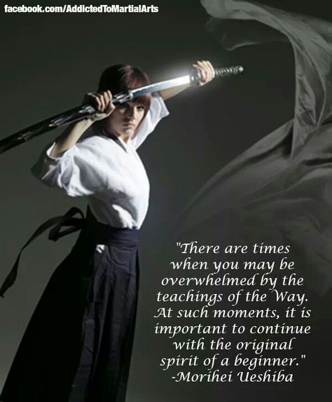 The spirit of a beginner Aikido Aesthetic, Zen Thoughts, Samurai Quotes, Aikido Martial Arts, Arts Quotes, Martial Arts Quotes, Best Martial Arts, Award Plaques, Warrior Art