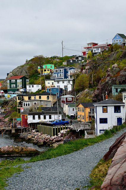 St. John's Newfoundland, Canada                                                                                                                                                     Plus Newfoundland Houses, Newfoundland Travel, Labrador Canada, Long Weekend Trips, Newfoundland Canada, Signal Hill, Canada Eh, Beautiful Canada, Eastern Canada