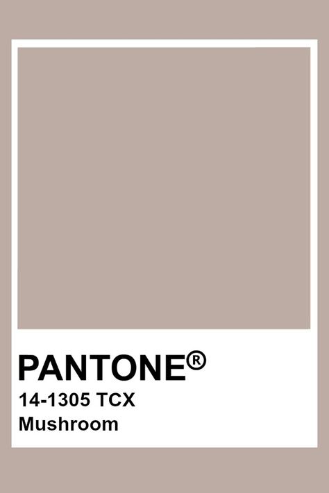 Pantone Mushroom Brown Pantone, Pantone Tcx, Pantone Color Chart, Pantone Swatches, Taupe Paint, Pantone Palette, Pantone Colour Palettes, Warm Taupe, Deco Rose