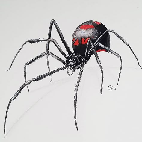 Black widow spider by w.a.o.design Spider Crawling Drawing, Black Widow Spider Art, Spider Side View, Black Widow Spider Drawing, Spider Sketch, Black Widow Drawing, Black Widow Spider Tattoo, Spider Cartoon, Pixie Tattoo