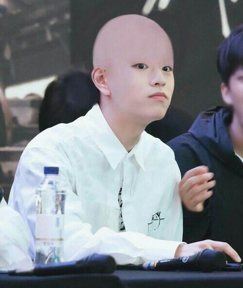 Bald Boy, Meme Book, Freddie Benson, Concert Signs, Jyp Nation, Essential Oils For Pregnancy, Kids Mood, Kpop Meme, Funny Kpop Memes