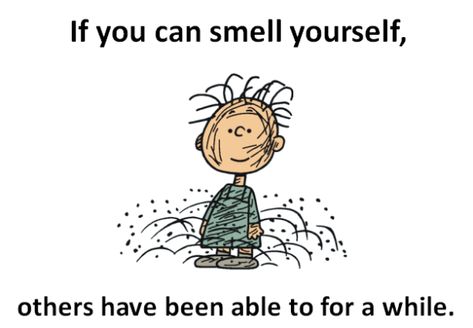 Have you ever finished a particularly sweaty workout, took in a deep breath and nearly choked on the scent of some extremely powerful body odor? Charlie Brown Quotes, Pig Pen, Charlie Brown Peanuts, Charlie Brown And Snoopy, Peanuts Gang, A Cartoon, Bones Funny, Image Quotes, Take Care Of Yourself