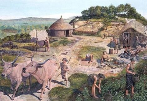 It is now known that humans were already living in permanent settlements as hunter-gatherers before the emergence of true plant and animal domestication. History Of Agriculture, Neolithic Art, Neolithic Revolution, Paleolithic Period, Prehistoric Man, Primitive Technology, Ancient Origins, Stone Age, Historical Pictures