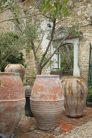 Toscana House, American Backyard, Olivier En Pot, Rustic Pots, Olive Jar, Garden Urns, Italian Garden, Mediterranean Garden, Garden Containers