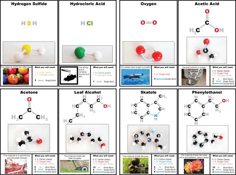 Molecule Model, Chemistry Basics, Organic Molecules, How To Make Bookmarks, Learning Ideas, Home Learning, Science For Kids, Main Page, Model Building