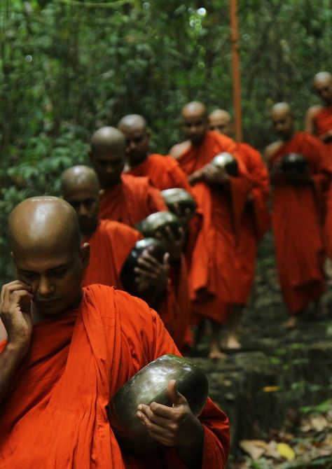 Learn about the local religions and cultures in Sri Lanka, the locals are more than willing to chat! We stayed in a few Airbnbs and met some wonderful people. Place Branding, Ski Hotel, Buddhism Quotes, Music Meditation, Sri Lanka Travel, French Culture, Meditation Music, Street Photo, Places Around The World