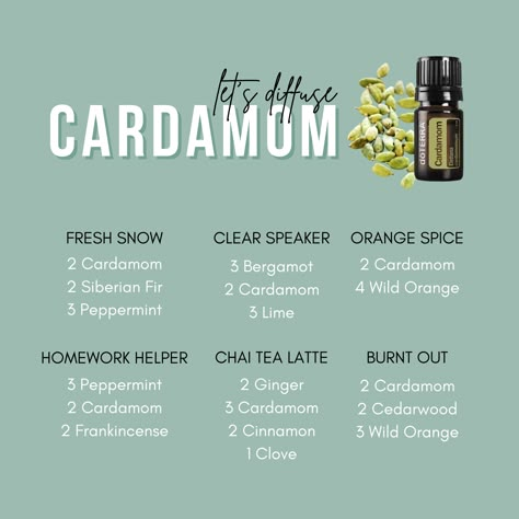 Cardamom Oil Blends, Cardamom Essential Oil Diffuser Blends, Cardamom Diffuser Blends, Cardamom Essential Oil Blends, Yl Diffuser Blends, Diffuser Blends Young Living, Candle Scents Recipes, Essential Oils Focus, Cardamom Essential Oil