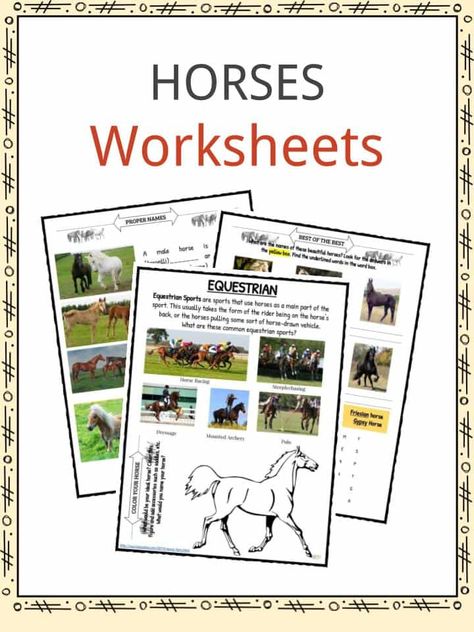 Printable animal worksheets for kids to learn about a range of animals. Includes animal habitats, vertebrates and invertebrates, animal adaptations & more! Horse Worksheets Free Printable, Animal Worksheets For Kids, Horse Worksheets, Interesting Facts About Horses, Anatomy Worksheets, Horse Education, Vertebrates And Invertebrates, Horse Lessons, Horse Information