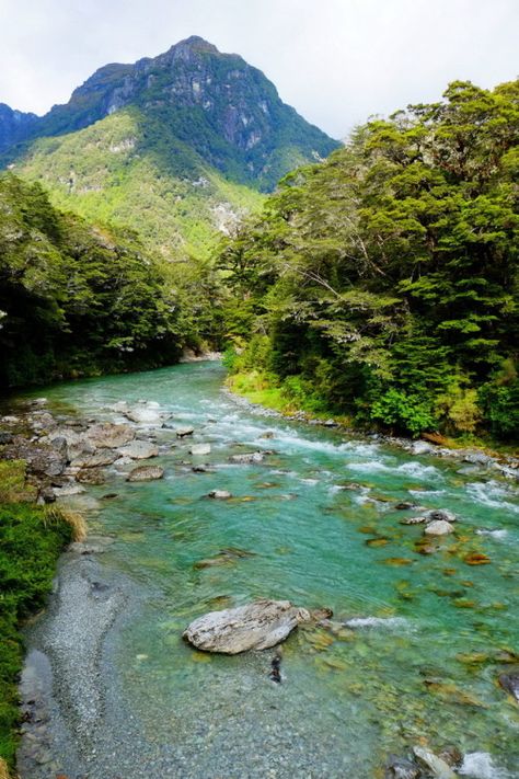 Routeburn Track New Zealand, Nz Landscape, Ancient Egyptian Architecture, New Zealand Architecture, 2023 Mood, Semester Abroad, Vertical Landscape, Central America Travel, Mountain Stream