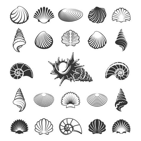 Shell Drawing, Seashell Tattoos, Shell Tattoos, Illustration Tattoo, Small Tattoos Simple, Geniale Tattoos, Mini Tattoos, Nautilus, 로고 디자인