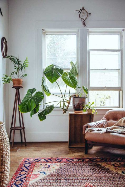 Lots Of Plants, Ideas Hogar, Deco Boheme, Large Homes, Making Room, My New Room, Living Room Inspiration, Plant Life, The Window