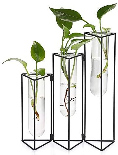 Amazon.com: JuxYes Nordic Style Test Tube Vase with Metal Stand, Hydroponics Clear Planter Metal Glass Vase Hinged Art Vase Plant Holder Flower Vase for Modern Home Office Decor : Home & Kitchen Test Tube Plants, Steel Vase, Planter With Stand, Style Test, Vase Plant, Test Tube Vase, Flower Vase Making, Minimalist Candles, Study Dining Room