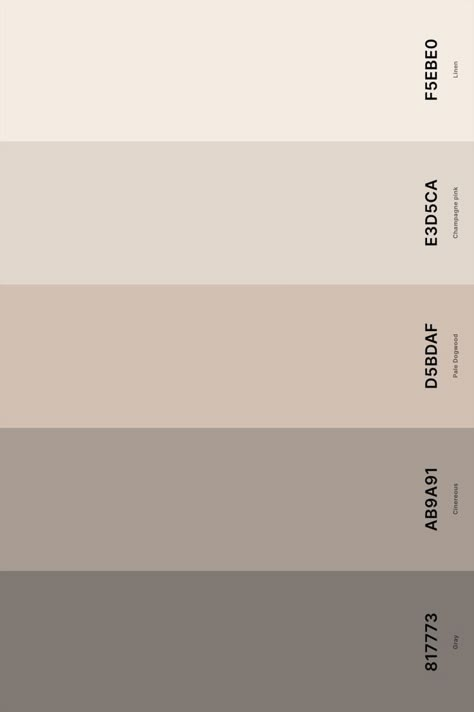 Color Palette For Room Bedrooms, Beech Wood Color Palette, Pantone Neutral Palette, Cream Aesthetic Color Palette, Base Color Palette, Color Pallete For House, Pale Colors Palette, Soothing Colour Palette, Cool Neutrals Color Palette