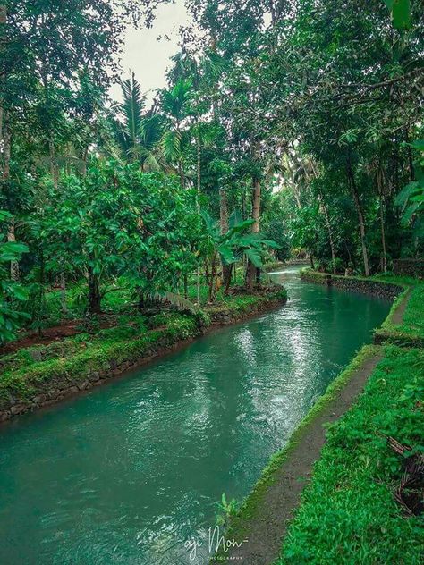 River In Garden, Landscape Curb Appeal, Ikan Air Tawar, Taman Air, Landscape Curbing, Kerala Travel, Woods Photography, Front Yards, Modern Landscape