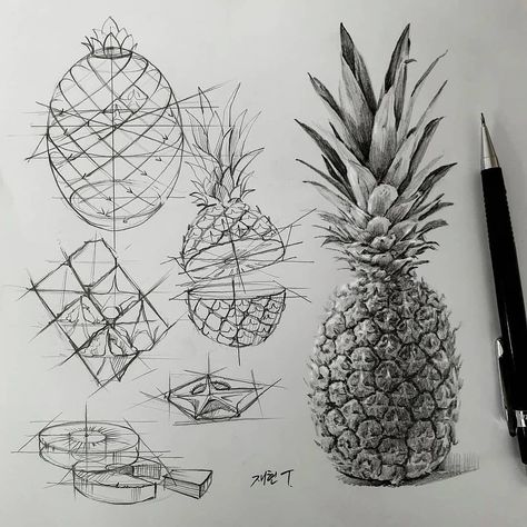 ART | WORLD of EXPRESSION 🎨 on Instagram: “It is easy to draw, if you understand the structure. Save the post and practice later 💌💯 Work by @anjjaemi _____________________ ▪ ⚠We…” Pineapple Sketch, Pineapple Drawing, Fruit Sketch, Structural Drawing, Fruits Drawing, Easy To Draw, Object Drawing, Perspective Art, Draw Art