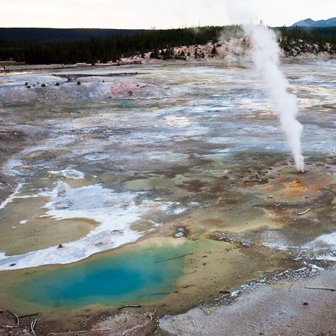 Norris Geyser Basin is one of the hottest, most acidic, and fastest changing geothermal areas in the world -- http://www.outdoorblueprint.com/explore/wyoming/yellowstone-national-park/norris-geyser-basin/ Yellowstone Geysers, Norris Geyser Basin Yellowstone, Crystal Geyser Water, Going To The Sun Road Glacier, Yellowstone And Glacier Road Trip, Solar Geyser Installation, Yellowstone National Park Geyser, Yellowstone National Park, Wyoming