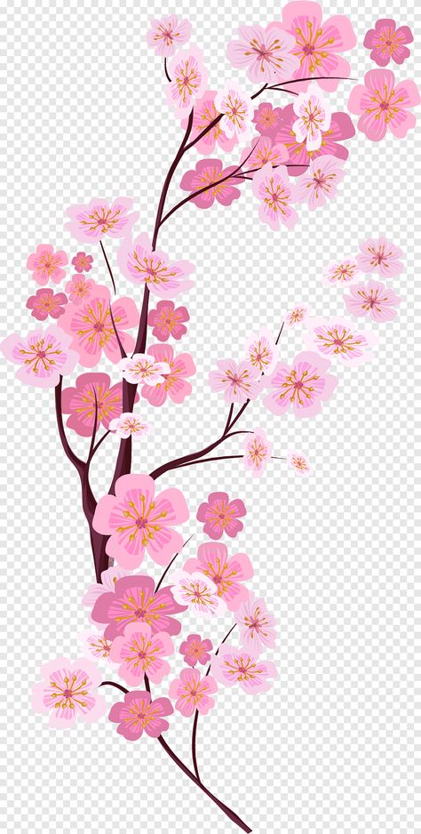 Chinese Cherry Blossom, Sakura Painting, Svg Pictures, Peony Drawing, Cherry Blossom Watercolor, Cherry Blossoms Illustration, Blossom Cherry, Flower Png Images, Chinese Flower