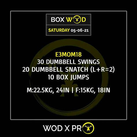 Box Wod Workouts, Dumbbell Swings, Dumbbell Snatch, Emom Workout, Crossfit Workouts At Home, Crossfit At Home, Crossfit Box, Body Build, Cross Training Workouts