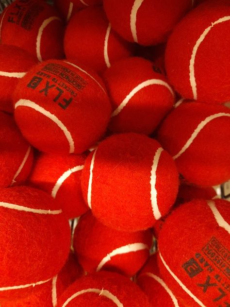 Volleyball Cheers, Tennis Aesthetic, Cricket Balls, Exhibit Design, Sports Aesthetic, Rhinos, Red Ball, Tennis Balls, 2025 Vision