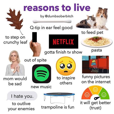 Best Trampoline, Reasons To Live, It Gets Better, Starter Pack, Staying Alive, Trust Yourself, Mood Pics, Feel Better, Dumb And Dumber