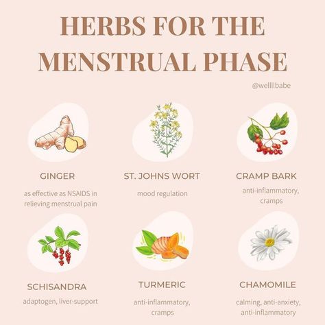 Foods To Eat To Reduce Period Cramps, Herbs For Your Period, Herbs Menstrual Cycle, Period Witch Tips, Herbs For Menstruation, Holistic Period Relief, Vitamins For Period Cramps, Herbs For Cramps, Herbs For Menstrual Phase