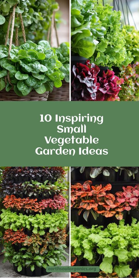 Make the most of every square foot with these genius vegetable garden solutions! From vertical gardening to container setups, learn how to maximize small spaces for big harvests. Get inspired to start planting today! #SmallVegetableGardenIdeas #ContainerGardening #EcoFriendlyGardening Small Veggie Garden Ideas Space Saving, Tiny Veggie Garden, Small Container Vegetable Garden, Gardening For Small Spaces, Gardening In Small Spaces Backyards, Small Patio Vegetable Garden, Small Veggie Garden Layout, Small Gardening Ideas, Vegtable Garden Layout