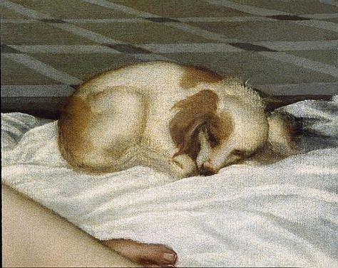 1st image of the papillon dog (detail of the 'venus de urbino' of Titian) Venus Of Urbino, Olympia Manet, Papillon Dogs, Paintings Animals, Venetian Art, Papillon Dog, Francisco Goya, Edouard Manet, Canine Art