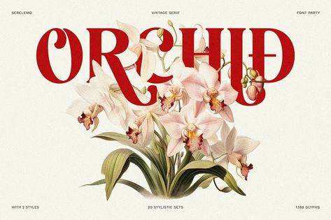 Serelemo - Vintage Serif Font Packaging Label Design, 카드 디자인, Graphic Design Fonts, Creative Fonts, Design Fonts, Floral Graphic, Graphic Design Fun, Vintage Fonts, Retro Vintage Style