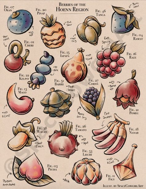 Pokemon Berries, Hoenn Region, Pokemon Poster, Oc Pokemon, Pokemon Regions, Food Fantasy, Cool Pokemon, Pokemon Pictures, Pokemon Fan