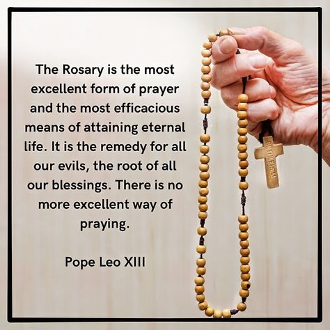 The Rosary is the most excellent form of prayer and the most efficacious means of attaining eternal life. It is the remedy for all our evils, the root of all our blessings. There is no more excellent way of praying. ~Pope Leo XIII~ #popeleoxiii #rosary #praytherosary #holyrosary #dailyrosary #blessedvirginmary #virginmary #motherofgod #catholic #catholicchristian #catholicism #catholicfaith #catholicwoman #catholicinspiration #catholiclife #catholicconnection #catholicconvert #catholicandp... Praying The Rosary Catholic, Pope Leo Xiii, Pray The Rosary, Pope Leo, Catholic Women, Praying The Rosary, Holy Rosary, The Rosary, Rosary Catholic