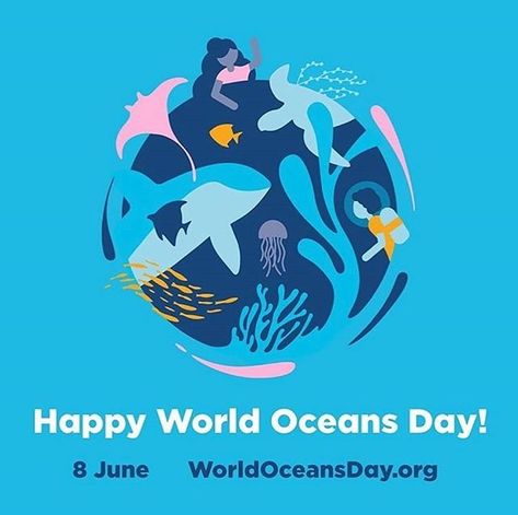 Happy world oceans day!!!! Your choices everyday to reduce the use of single plastic by changing to sustainable eco friendly products make a huge difference in the world! So let's acknowledge days like these to help promote world ocean day by doing our little bit for the planet everyday ! #fightforyourworld #ourplanet #naturematters #eco#ecofriendlyproducts #ecoproducts #bermondseybits #bamoboocutlery #plastic #recycle #sustainableliving #reduceplastic #health #nature #vegan #bamboostraws #lon World Ocean Day Poster, Ocean Day Poster, World Ocean Day, World Oceans Day, Save Mother Earth, Beach Clean Up, Conscious Consumption, Eco Store, Save The Ocean