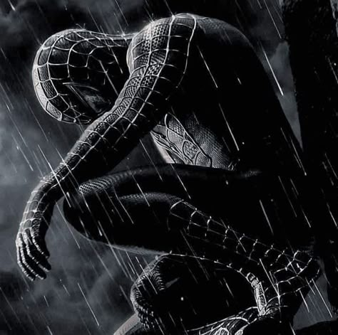 Spiderman Scene, Spider Man Quotes, Spiderman Meme, Symbiote Spiderman, Spiderman Suits, Black Spiderman, Spiderman Movie, Marvel Comics Wallpaper, Marvel Spiderman Art