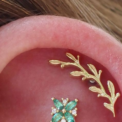 Anji Anujin on Instagram: "A beautiful pair of cartilage piercings for Gracey 💚 

@goldwizard69 styled her with genuine emeralds, diamonds and yellow gold @bvla designs 🔥 Also check out her healing first lobe piercing we have done a while ago! 

Love this styling so much and can’t wait to add more onto her set up! ✨ 

#BuryMeInGold #Bvla" First Lobe Piercing, Cartilage Piercings, Lobe Piercing, Cartilage Piercing, Instagram A, Piercings, Emerald, Diamonds, Healing