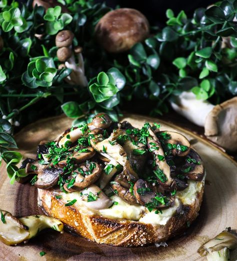 Second Breakfast: Wild Mushrooms on Cheese Toast ~ Rhubarb & Lavender Lembas Bread, Breakfast Shot, Savory Dutch Baby, Mushroom Cheese, Hobbit Food, Cheese On Toast, Second Breakfast, Morning Snack, Wild Mushroom