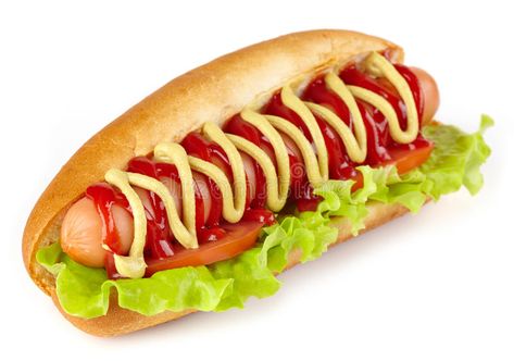 Hot dog. With lettuce and tomato on white background , #spon, #lettuce, #dog, #Hot, #background, #white #ad Gourmet Hotdogs, Sonic Restaurant, Golden Cake, Burger Menu, Onion Sauce, Food Png, Mango Smoothie, Fair Food Recipes, Unhealthy Food