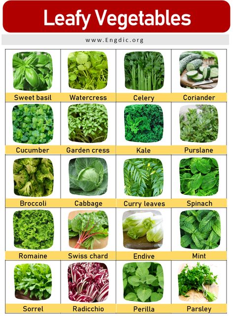 Green Vegetables Name, Vegetables Names With Pictures, Cucumber Garden, Vegetables Name, Cabbage Curry, Fruits And Vegetables List, Cucumber Gardening, Dark Green Vegetables, Onion Leeks