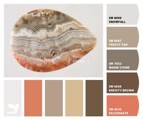 Paint colors from ColorSnap by Sherwin-Williams Cream Furniture, Palette Design, Color Palate, Theme Color, Design Seeds, Paint Schemes, Living Room Paint, Room Paint, Kitchen Colors