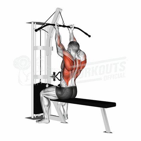 Back Workout Bodybuilding, Gym Back Workout, Back And Bicep Workout, Seated Leg Curl, Captains Chair, Barbell Deadlift, Leg Raise, Assisted Pull Ups, Hanging Leg Raises