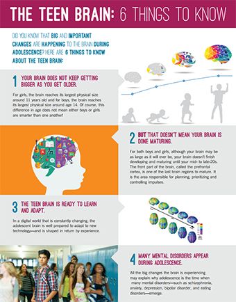 Did you know that big and important changes are happening to the brain during adolescence? Here are 6 things to know about the teen brain: #BrainWeek The Teenage Brain, Teenage Brain Development, Brain Development Children, Snacks Diy, Teenage Brain, 블로그 디자인, Whole Brain Child, High School Counseling