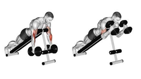 Spider Hammer Curl Bicep Workout, Hammer Curls, Biceps Workout, Target, Gym, Building